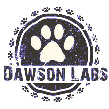 Dawson Labradors